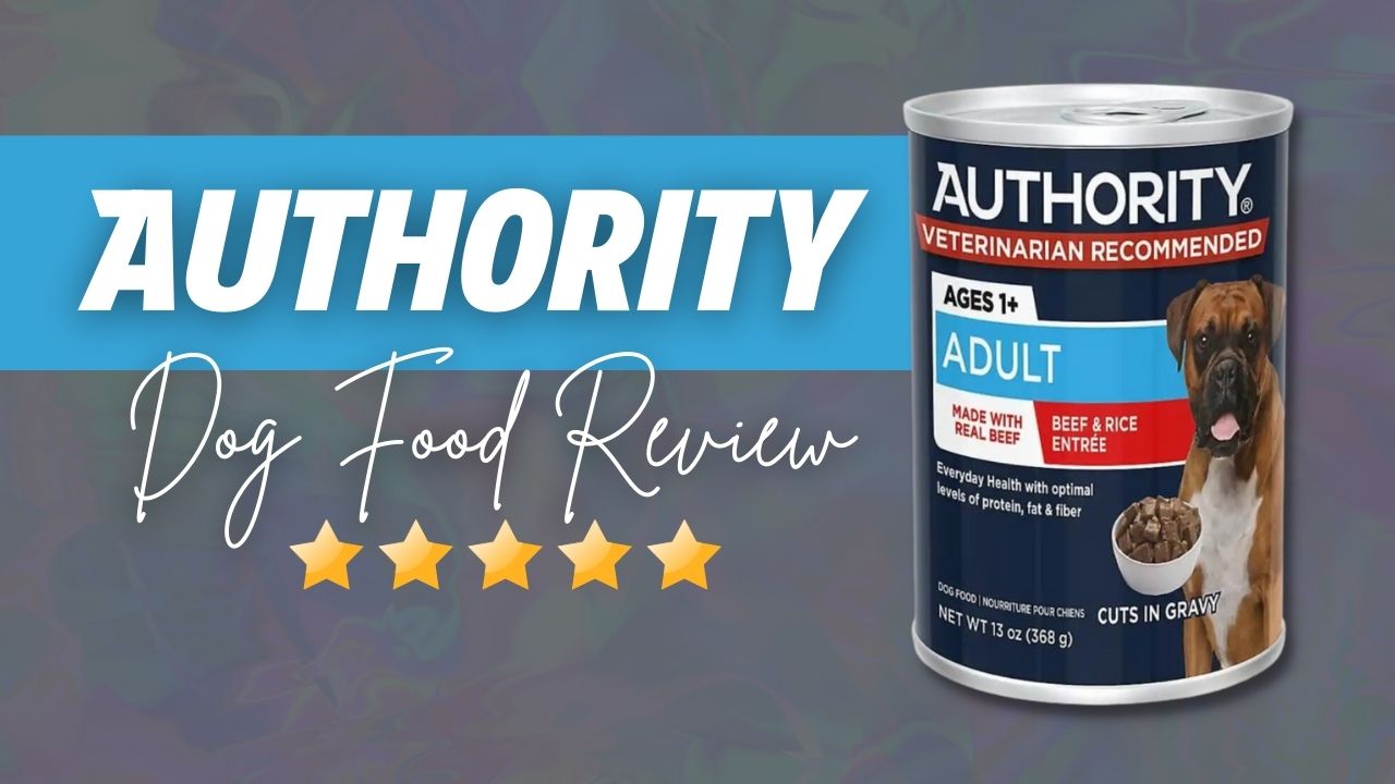 Authority Dog Food Review