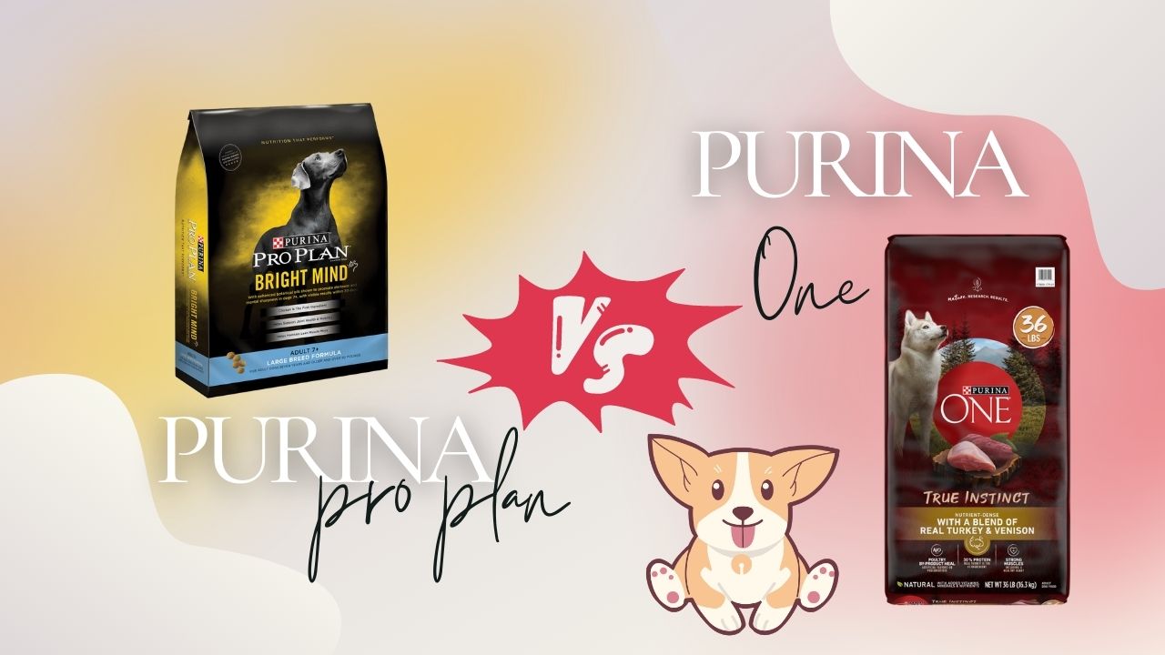 Purina